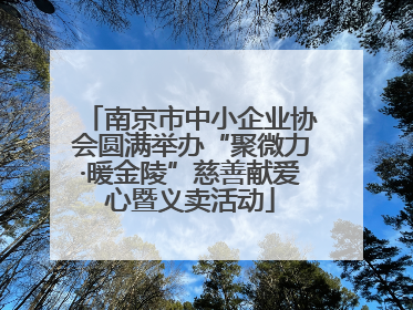 南京市中小企业协会圆满举办“聚微力·暖金陵”慈善献爱心暨义卖活动