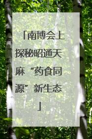 南博会上探秘昭通天麻“药食同源”新生态