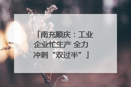 南充顺庆：工业企业忙生产 全力冲刺“双过半”