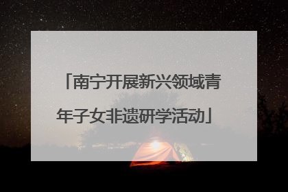 南宁开展新兴领域青年子女非遗研学活动