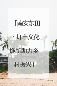 南安东田：圩市文化焕新助力乡村振兴