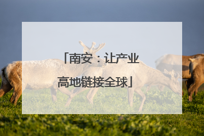 南安：让产业高地链接全球