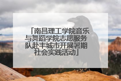南昌理工学院音乐与舞蹈学院志愿服务队赴丰城市开展暑期社会实践活动
