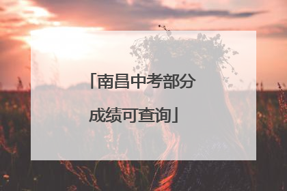 南昌中考部分成绩可查询