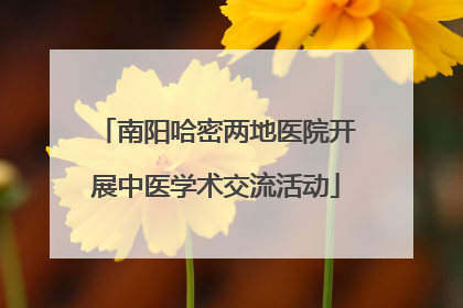 南阳哈密两地医院开展中医学术交流活动