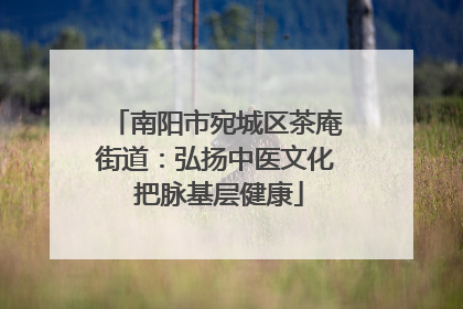 南阳市宛城区茶庵街道：弘扬中医文化 把脉基层健康