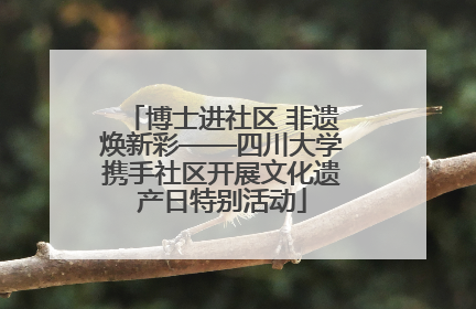 博士进社区 非遗焕新彩——四川大学携手社区开展文化遗产日特别活动