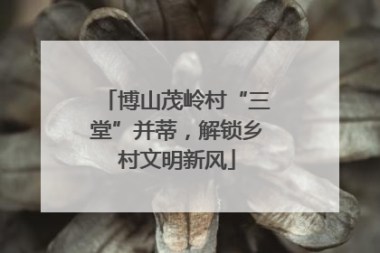 博山茂岭村“三堂”并蒂，解锁乡村文明新风