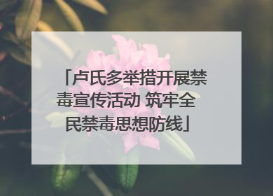 卢氏多举措开展禁毒宣传活动 筑牢全民禁毒思想防线