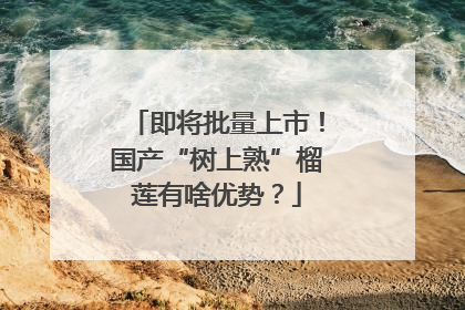 即将批量上市！国产“树上熟”榴莲有啥优势？