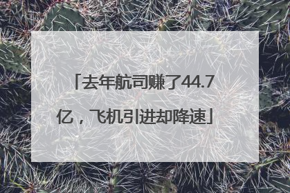 去年航司赚了44.7亿，飞机引进却降速