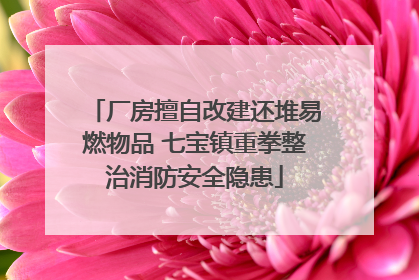 厂房擅自改建还堆易燃物品 七宝镇重拳整治消防安全隐患