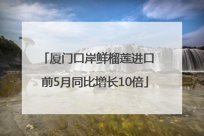 厦门口岸鲜榴莲进口 前5月同比增长10倍