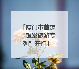 厦门市首趟“银发旅游专列”开行