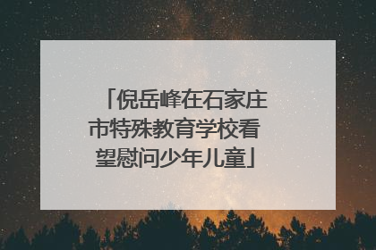 倪岳峰在石家庄市特殊教育学校看望慰问少年儿童