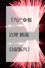 兴产业强治理 抓项目促振兴