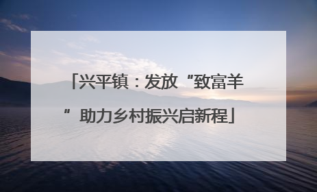 兴平镇：发放“致富羊”助力乡村振兴启新程