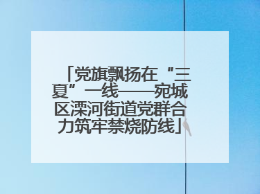 党旗飘扬在“三夏”一线——宛城区溧河街道党群合力筑牢禁烧防线