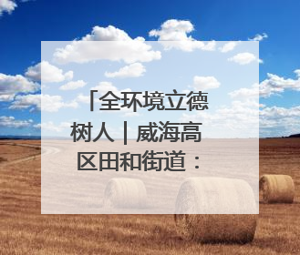 全环境立德树人｜威海高区田和街道：构建四维融合体系 绘就全环境立德树人新画卷