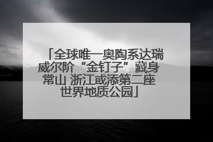 全球唯一奥陶系达瑞威尔阶“金钉子”藏身常山 浙江或添第二座世界地质公园