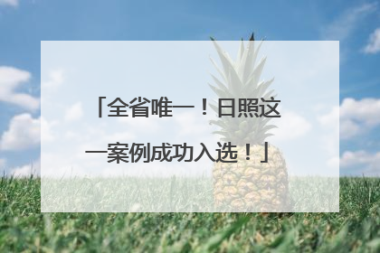 全省唯一！日照这一案例成功入选！