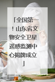 全国第一！山东省文物安全卫星遥感监测中心揭牌成立