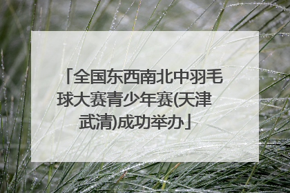 全国东西南北中羽毛球大赛青少年赛(天津武清)成功举办