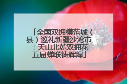 全国双拥模范城（县）巡礼新疆沙湾市：天山北麓双拥花 五届蝉联铸辉煌