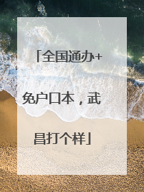 全国通办+免户口本，武昌打个样
