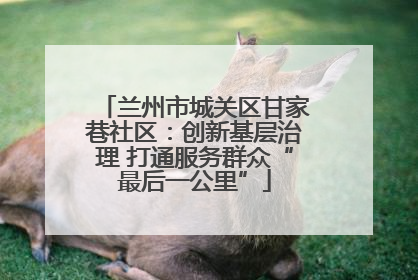 兰州市城关区甘家巷社区：创新基层治理 打通服务群众“最后一公里”