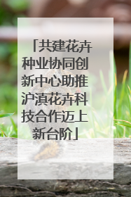 共建花卉种业协同创新中心助推沪滇花卉科技合作迈上新台阶