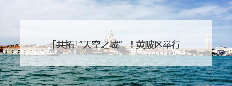 共拓“天空之城”！黄陂区举行低空经济深圳专场推介招商会