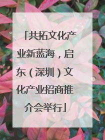 共拓文化产业新蓝海，启东（深圳）文化产业招商推介会举行