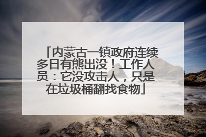 内蒙古一镇政府连续多日有熊出没！工作人员：它没攻击人，只是在垃圾桶翻找食物