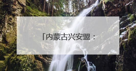 内蒙古兴安盟：“阳光银行”点亮乡村振兴路
