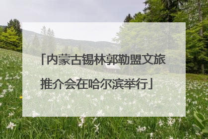 内蒙古锡林郭勒盟文旅推介会在哈尔滨举行