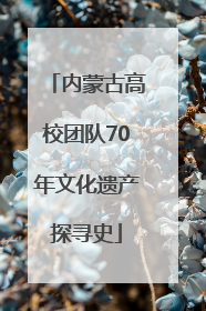 内蒙古高校团队70年文化遗产探寻史