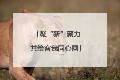 凝“新”聚力 共绘客我同心圆