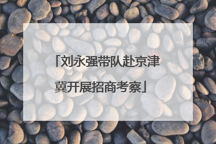 刘永强带队赴京津冀开展招商考察