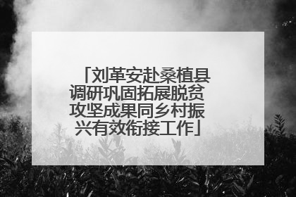 刘革安赴桑植县调研巩固拓展脱贫攻坚成果同乡村振兴有效衔接工作