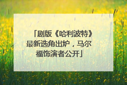 剧版《哈利波特》最新选角出炉，马尔福饰演者公开