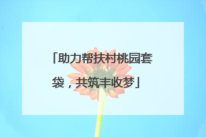 助力帮扶村桃园套袋，共筑丰收梦