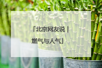北京网友说｜燃气与人气