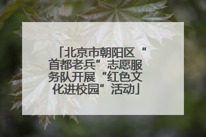 北京市朝阳区“首都老兵”志愿服务队开展“红色文化进校园”活动