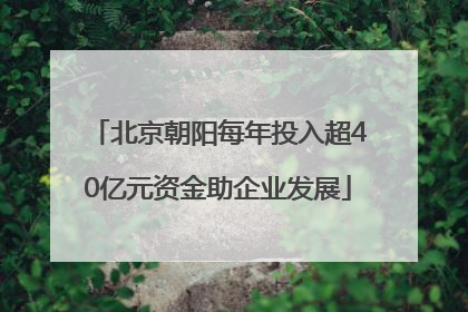 北京朝阳每年投入超40亿元资金助企业发展