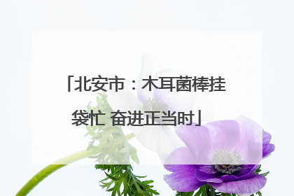 北安市：木耳菌棒挂袋忙 奋进正当时