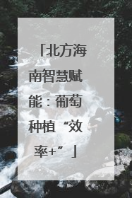 北方海南智慧赋能：葡萄种植“效率+”