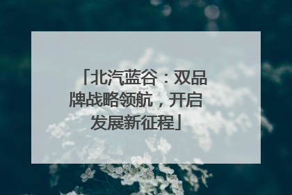 北汽蓝谷：双品牌战略领航，开启发展新征程