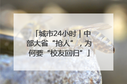 城市24小时｜中部大省“抢人”，为何要“校友回归”