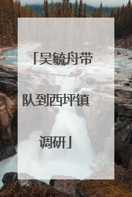 吴毓舟带队到西坪镇调研